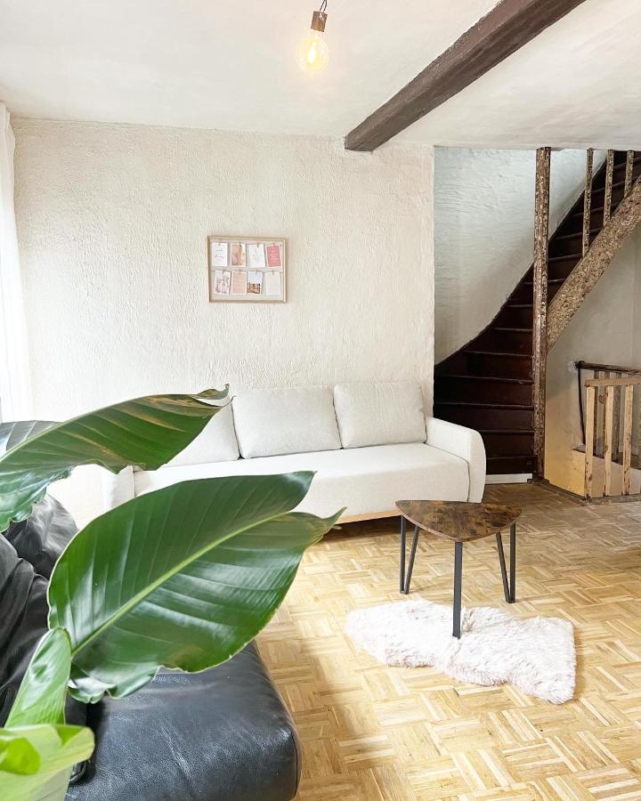 Gigi Home's Antwerpen